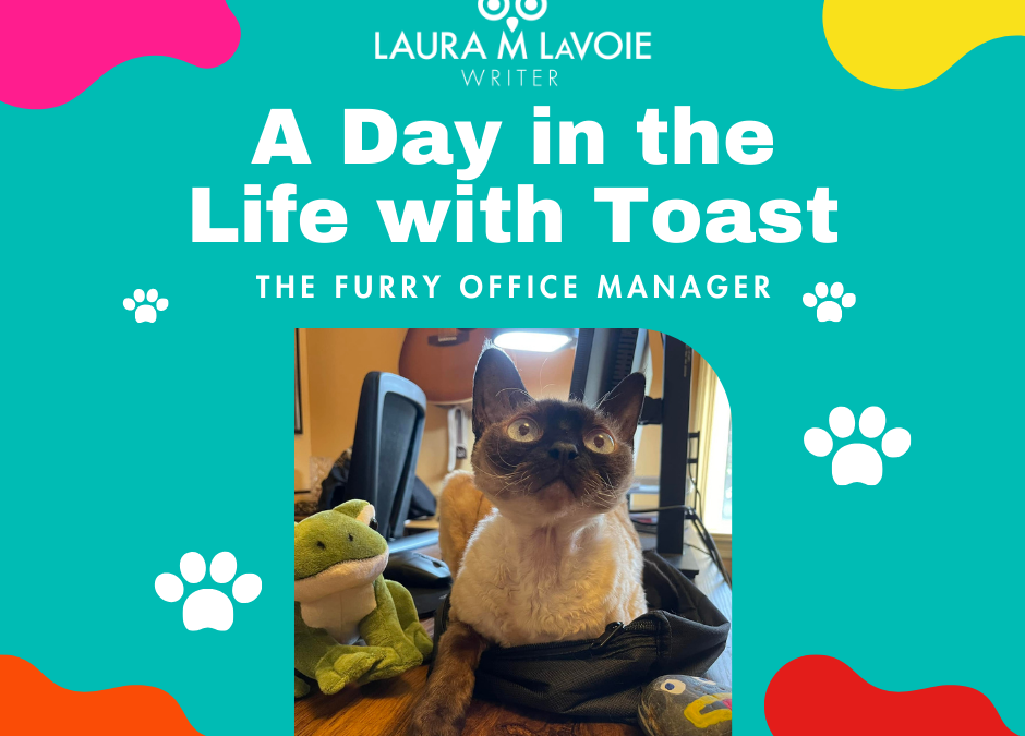 A Day in the Life with Toast: The Furry Office Manager