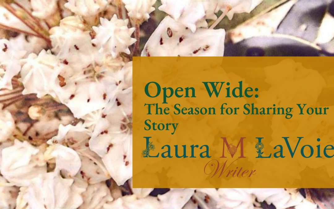 Open Wide: The Season for Sharing Your Story