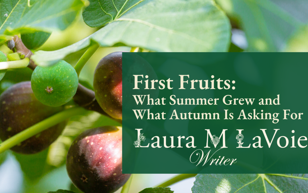 First Fruits: What Summer Grew and What Autumn Is Asking For