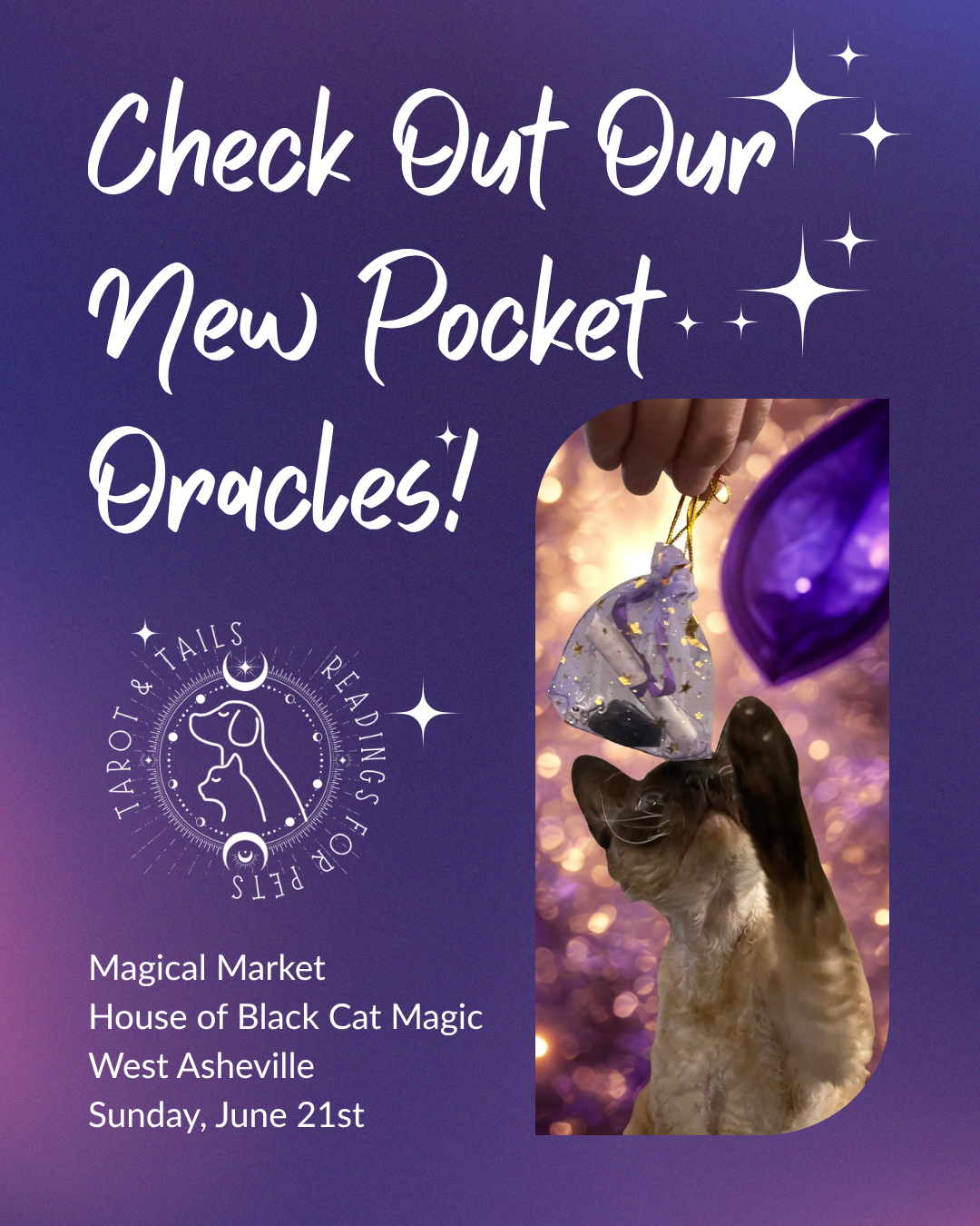 Pocket Oracle Social Media